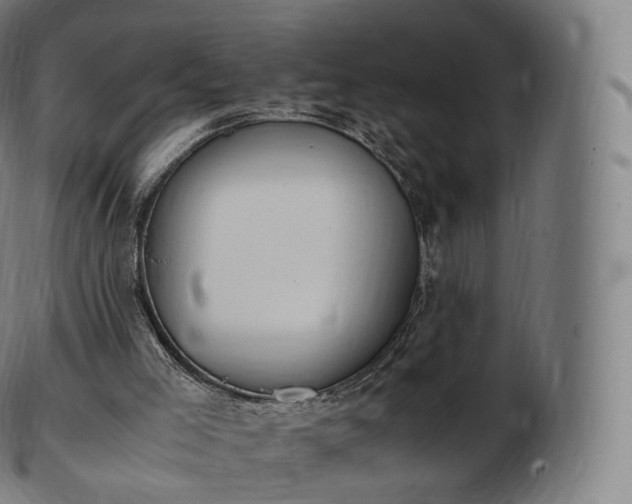 X0000103330005200809121221