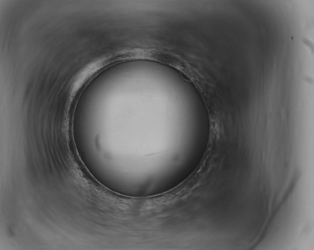 X0000103330006200809121221