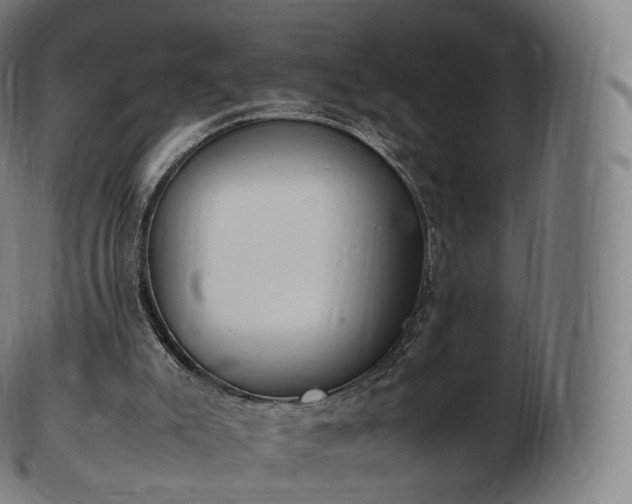 X0000103330007200809121221