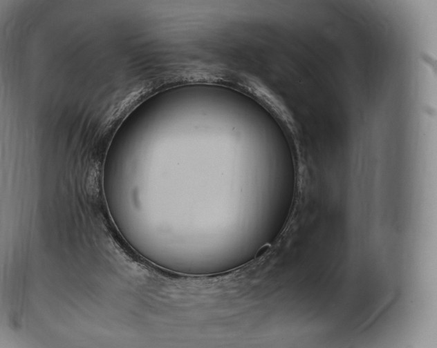 X0000103330009200809121221