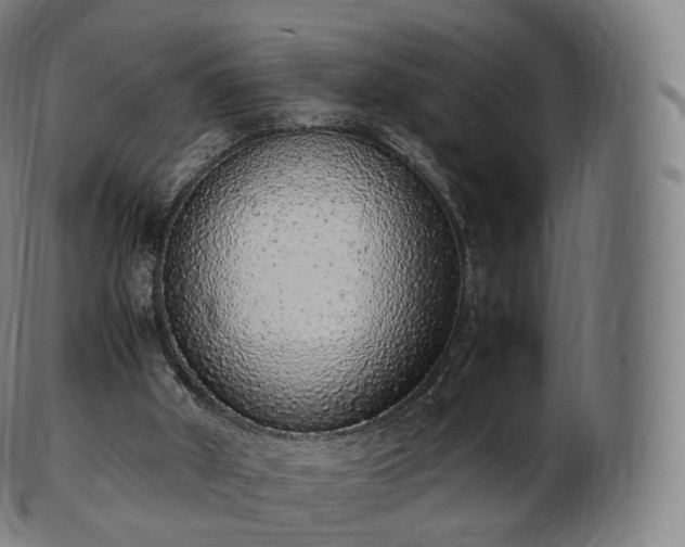 X0000103330010200809121221