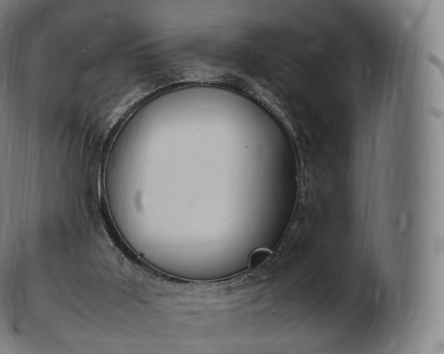 X0000103330011200809121221