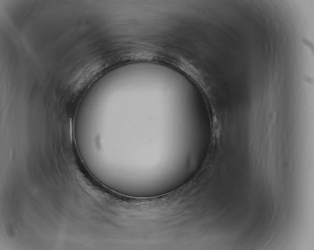 X0000103330013200809121221