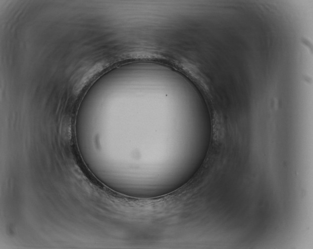 X0000103330015200809121221