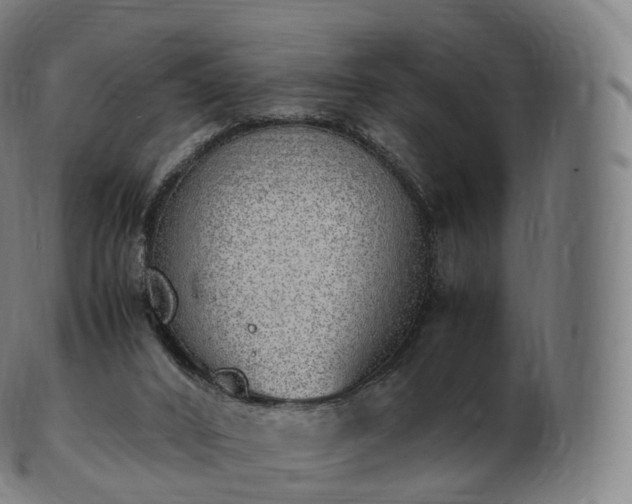 X0000103330016200809121221