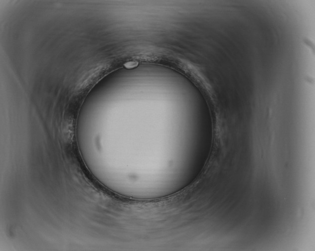 X0000103330017200809121221