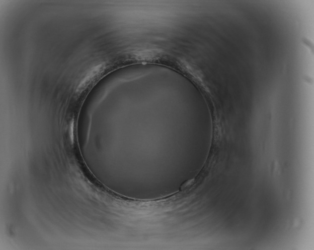 X0000103330019200809121221