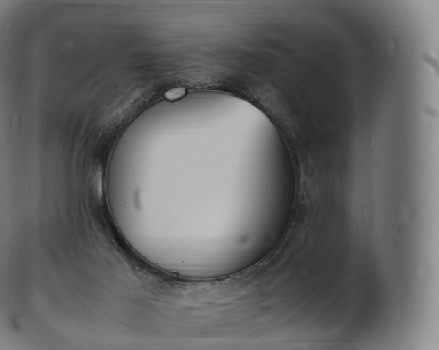 X0000103330021200809121221