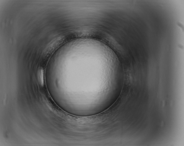 X0000103330022200809121221