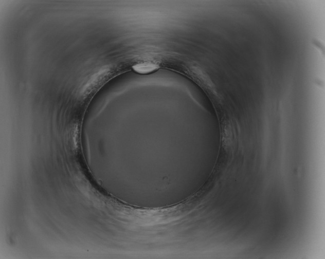 X0000103330023200809121221