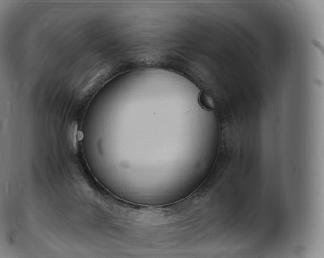 X0000103330024200809121221