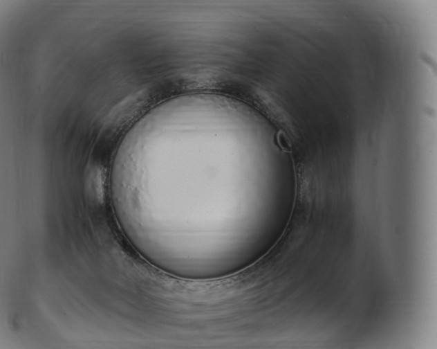 X0000103330026200809121221