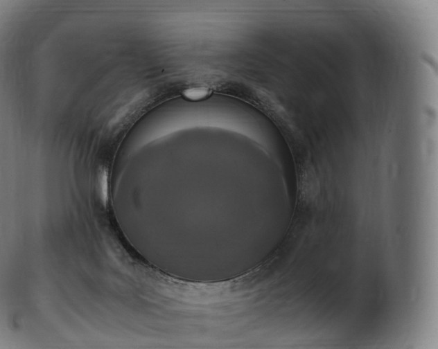 X0000103330027200809121221