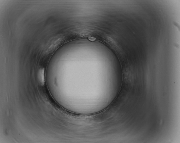 X0000103330028200809121221