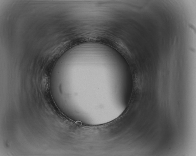 X0000103330029200809121221