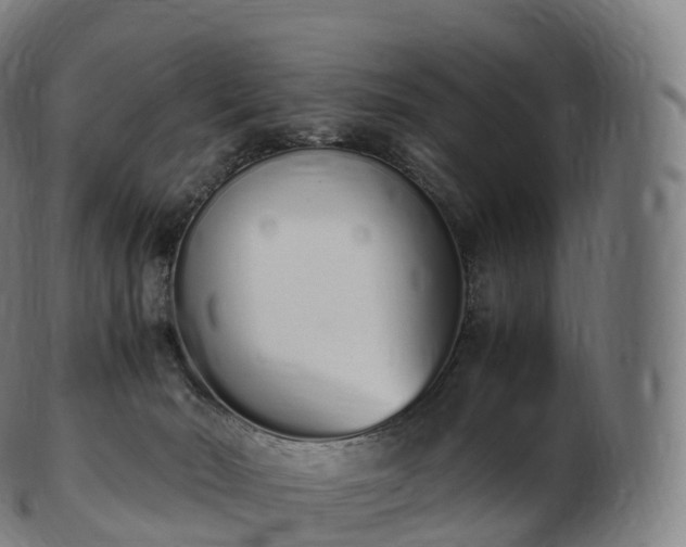 X0000103330030200809121220