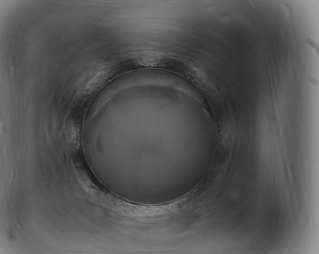 X0000103330031200809121220