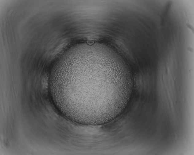 X0000103330032200809121220