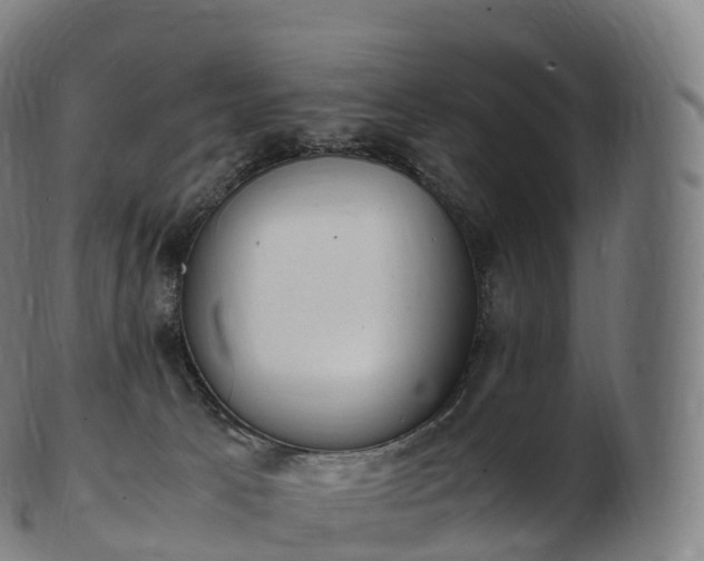 X0000103330033200809121220