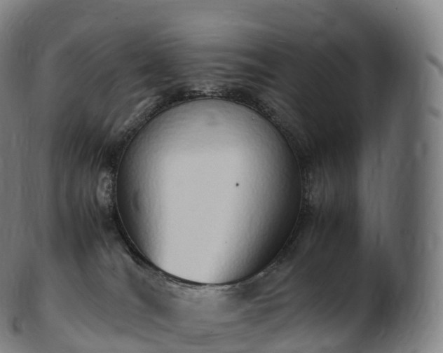 X0000103330036200809121220