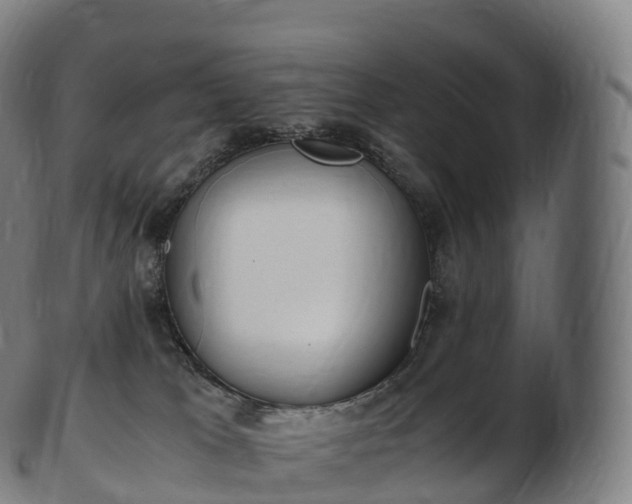 X0000103330037200809121220