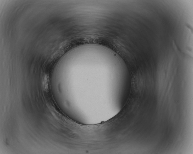 X0000103330038200809121220