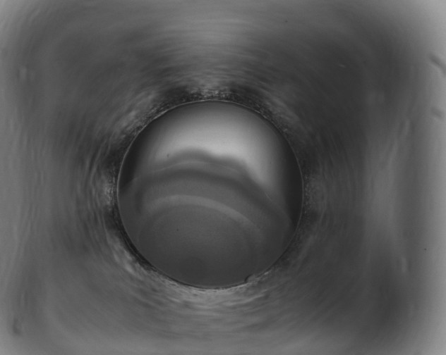 X0000103330039200809121220