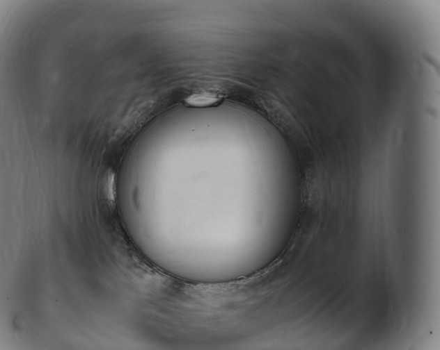 X0000103330041200809121220