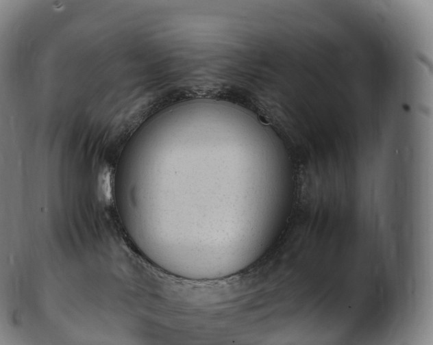 X0000103330042200809121220