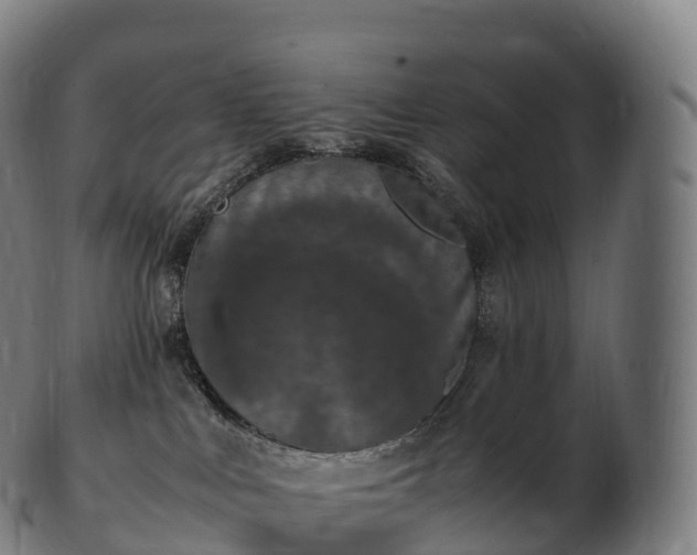 X0000103330043200809121220