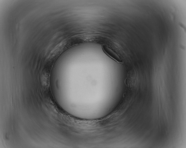 X0000103330044200809121220