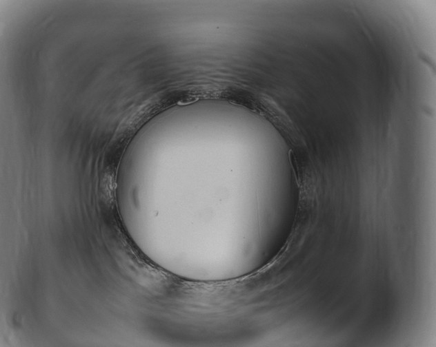 X0000103330045200809121220