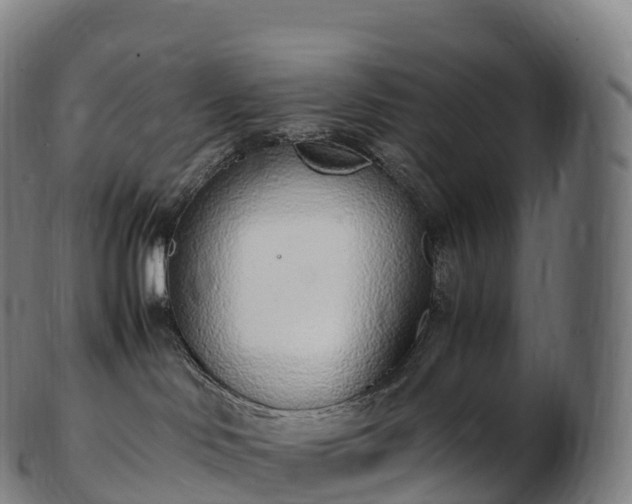 X0000103330046200809121220