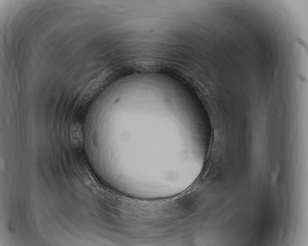 X0000103330048200809121220