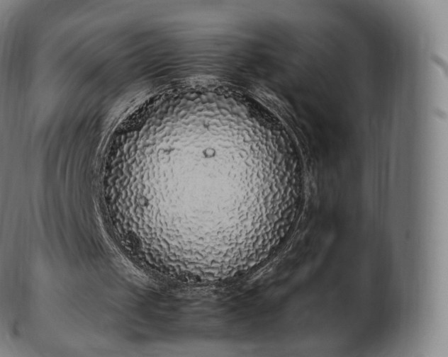 X0000103330049200809121219