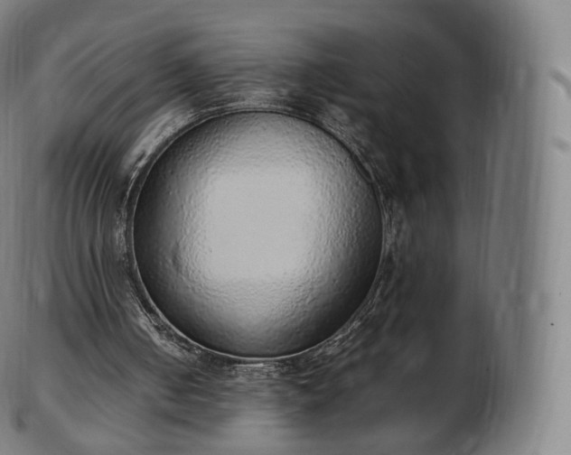 X0000103330050200809121219