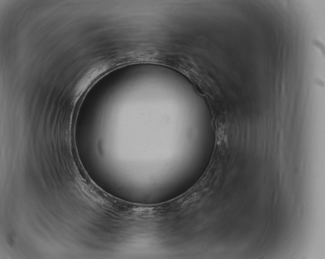 X0000103330052200809121219