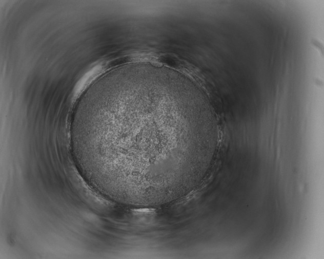 X0000103330053200809121219