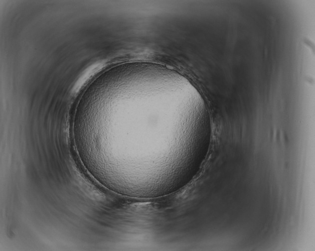 X0000103330054200809121219