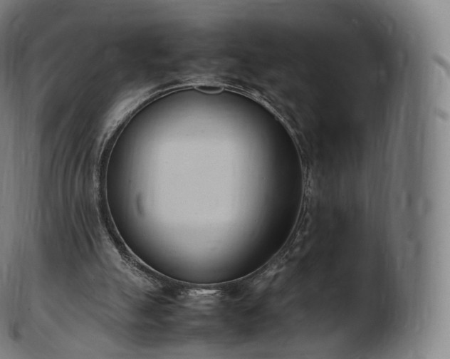 X0000103330055200809121219