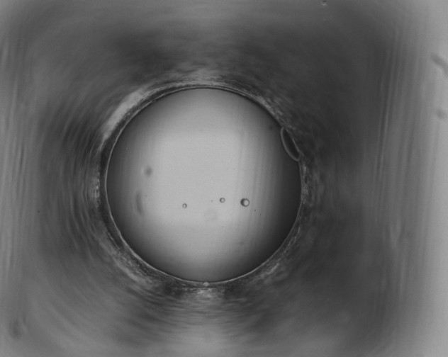 X0000103330056200809121219