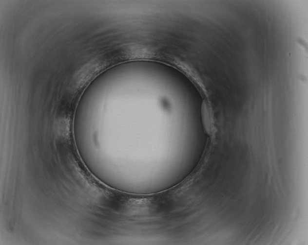 X0000103330057200809121219