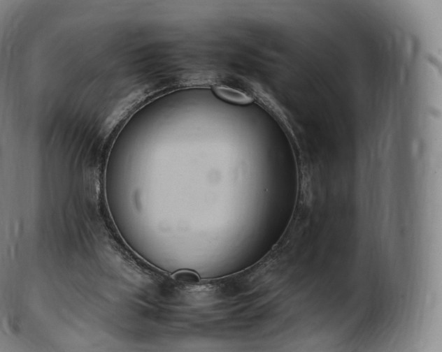 X0000103330059200809121220