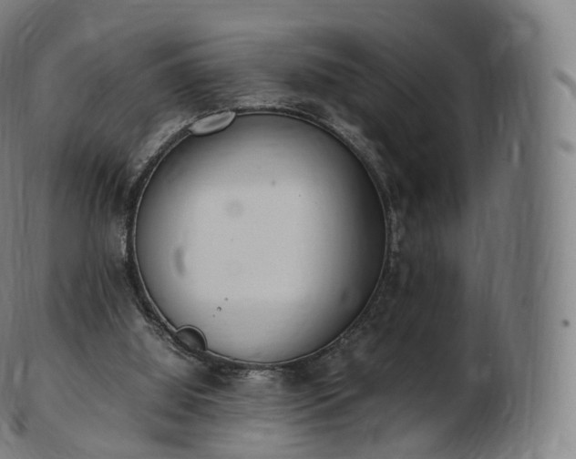 X0000103330060200809121220