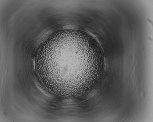 X0000103330061200809121220