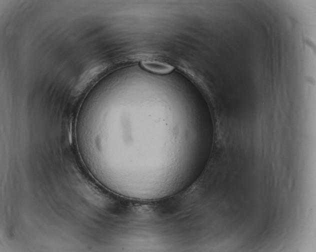 X0000103330062200809121220