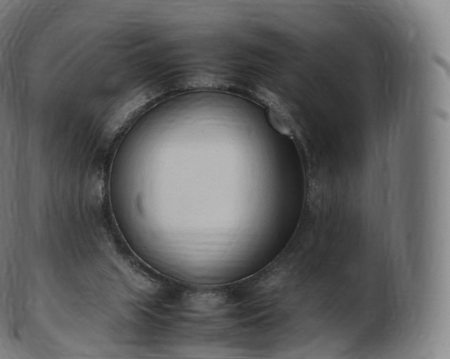 X0000103330063200809121220