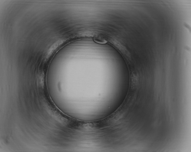 X0000103330064200809121220