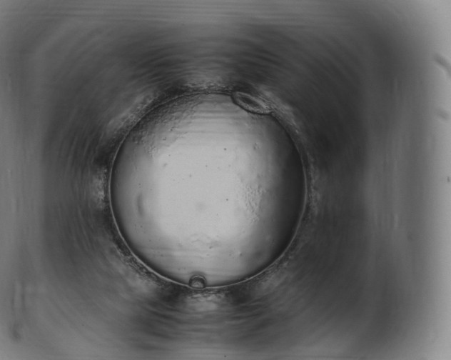 X0000103330065200809121220