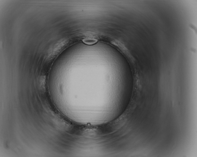 X0000103330066200809121220